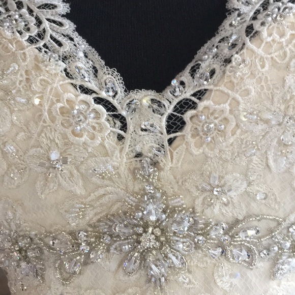 π Allure Couture C207 - Picture 5 of 8